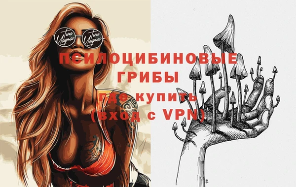 бутират Мегион